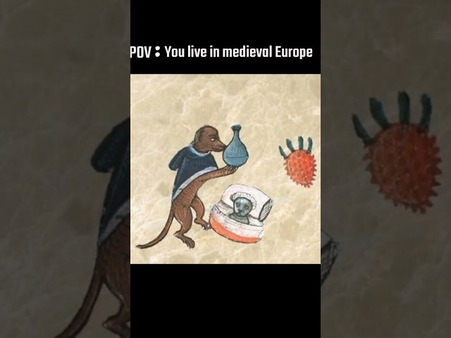 Vídeo relacionado con Art of Anatomy in Medieval Europe (Medieval Lives)
