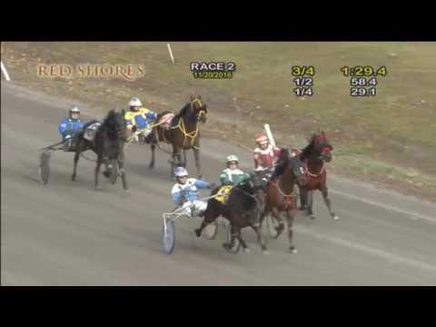 CDP 2016 November 20 R02