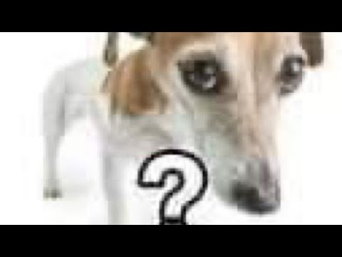 Si la vida te da la espalda