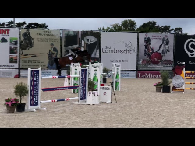  Mother of the mare Queen Kastoria M is the CSI 1.45m jumping mare Kastoria ter Doorn with rider Vicky van der Poel.