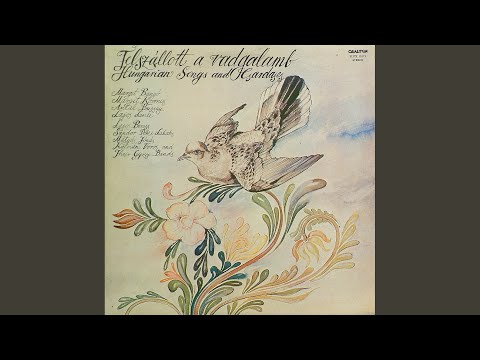 Jegenyefák nem nőnek az égig