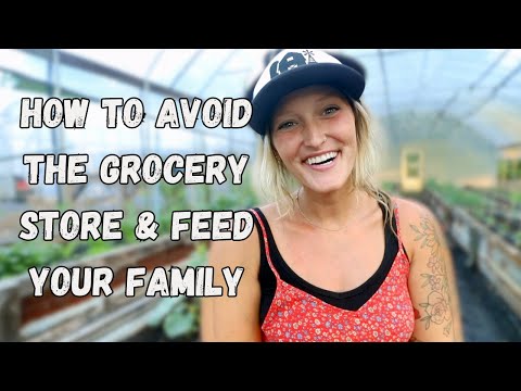 Feeding My Family of 5 Right Out My Back Door | Whispering Willow Farm