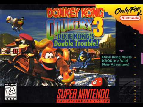 Donkey Kong Country 3 (Snes Boss Boogie)