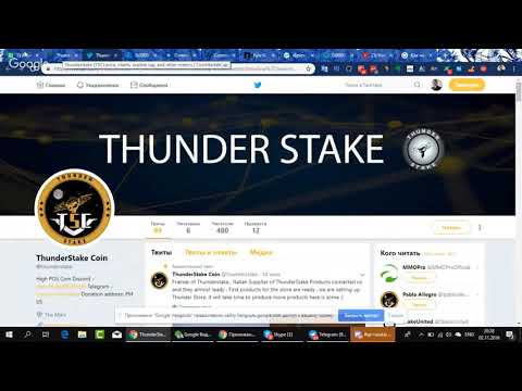 Новостной вебинар от криптоменеджера 02.11.2018 Часть 3 Thunderstake TSC