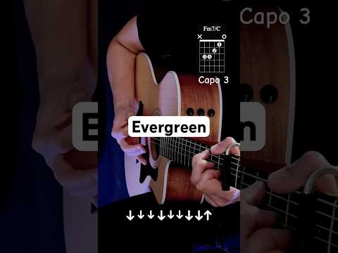 Evergreen - Richy Mitch & The Coal Miners | Guitar Tutorial #guitar #shorttutorial #tutorial