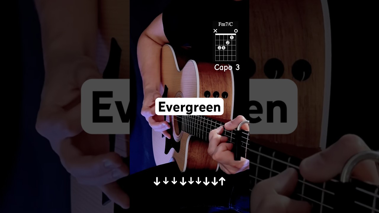 Evergreen - Richy Mitch & The Coal Miners | Guitar Tutorial #guitar #shorttutorial #tutorial