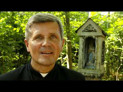 Erkenne die möglichen Wurzeln der Krankheiten