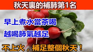 秋天裏的補肺第1名！早上煮水當茶喝，越喝肺氣越足！還不上火，補足整個秋天！