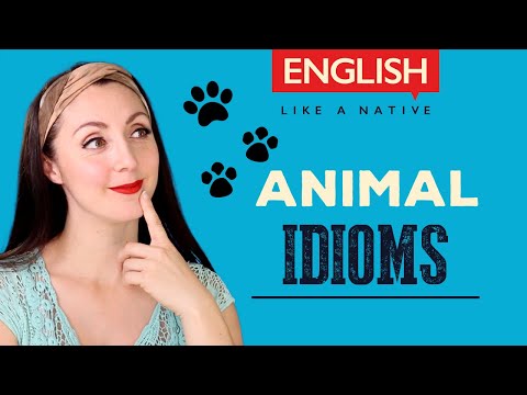 Animal Idioms - Common English Idioms With Meaning