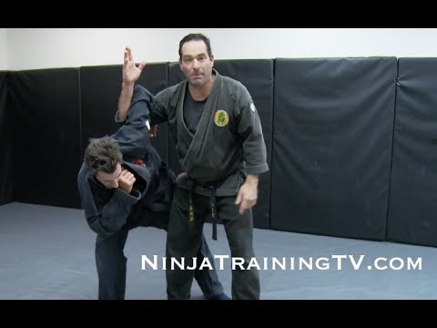 Ganseki Nage, Ganseki Otoshi, Ganseki Ori, and Ganseki Oshi Variations