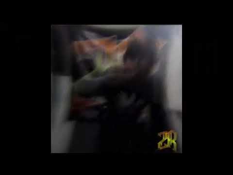 01-EL LOCO DEL BARRIO_ROMPE (SNOOPY MC) PURO PINCHE VUELO VOL.2