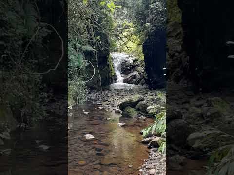 Cascata do Merecimento,Riozinho,RS.