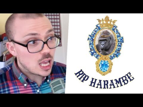 Elon Musk - "RIP Harambe" TRACK REVIEW