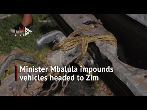Fikile Mbalula inspects vehicles heading to Zimbabwe, Limpopo