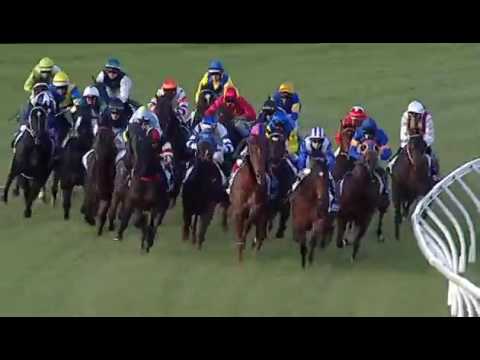 2017 GOODWOOD HANDICAP - Vega Magic