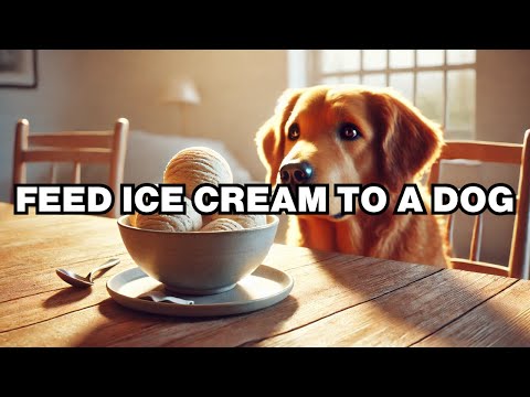 Can Dogs Eat Ice Cream? Explained