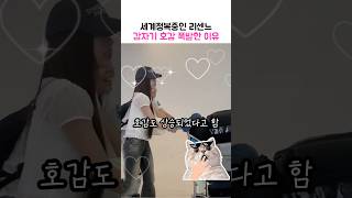 센둥이들에게 호감 폭발한 이유