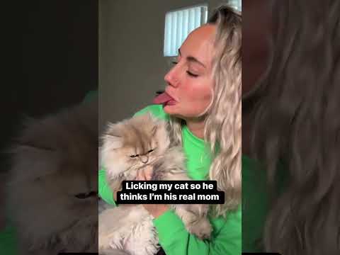 Robert Daprato - My Cat Likes A Lick - Misc Originals