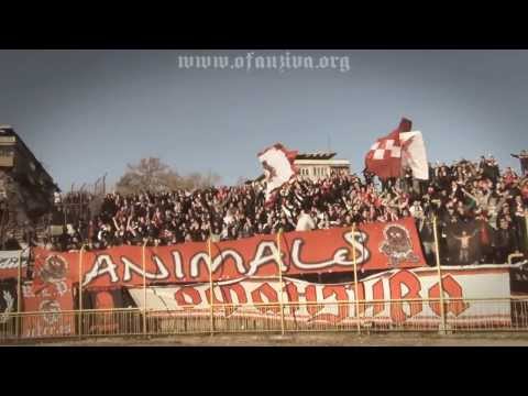 Ofanziva: Botev Plovdiv - CSKA Sofia (05.12.2013)
