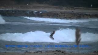 preview picture of video 'New Year's Surfing in Hagi Jan.1st 2013'