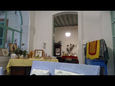 The Life Divine #37 2019-1208