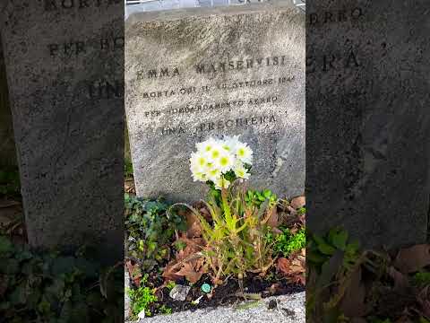 In memoria 1944 #milano #1944