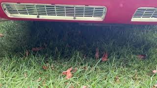 1965 Chevrolet Corvair Corsa-Engine Running