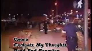 Conejo 8 Million Stories