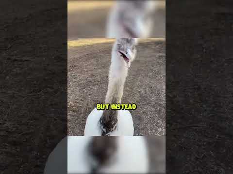 Testing Kevin's Sanity