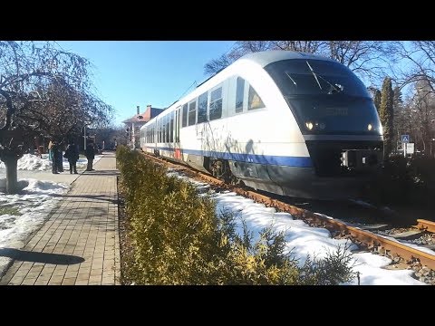 Regio Putna - Suceava in Radauti with Siemens Desiro VT642 [February, 2019]