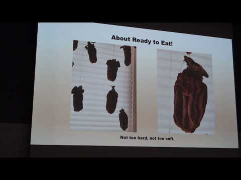 2018-12-08, Hoshigaki, The Art of Drying Persimmons