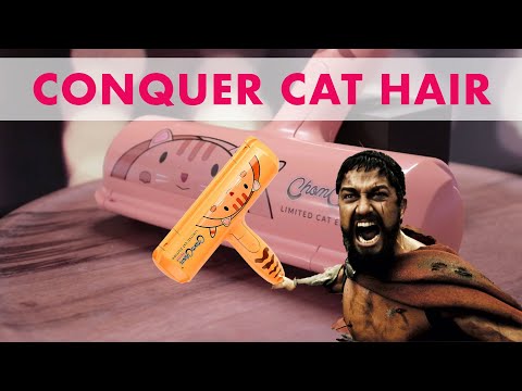 How To Win The War Against Pet Hair