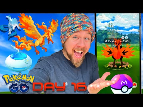 IL SEGRETO PER VEDERE UN UCCELLO DI GALAR OGNI GIORNO! *Pokémon GO*