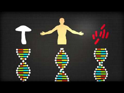 水の記憶 2014年のノーベル賞受賞者リュック・モンタニエのドキュメンタリー (Water Memory Documentary of 2014 about Nobel Prize laureate Luc Montagnier)