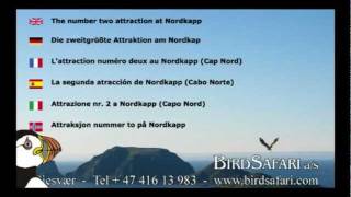 preview picture of video 'Promotional - BirdSafari a/s in Gjesvær / North Cape'