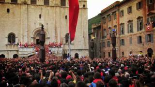 Festa dei Ceri 2008 - Gubbio, Umbria