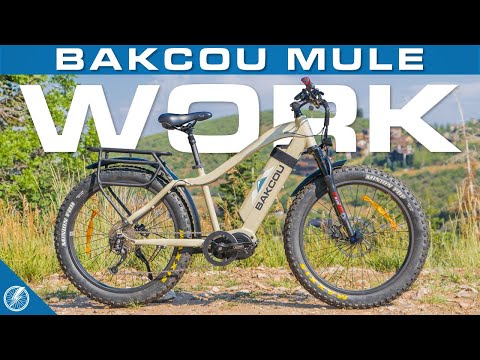 Bakcou Mule Review | Fat Tire Electric Bike (2021)