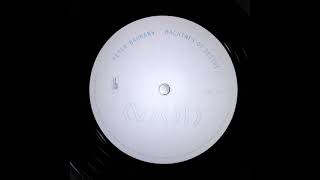 Peter Baumann - Searching in Vain - cut slow