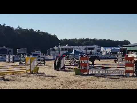 Cupari - 115cm Ranshofen - Sep 5, 2021