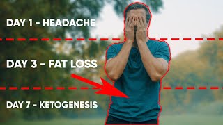 What happens inside your body when you fast?