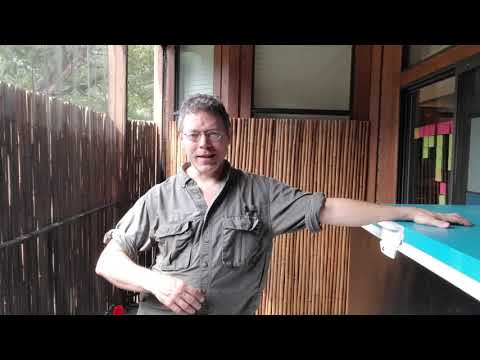 Do you Need a Liner for Your Chest Freezer Cold Plunge?