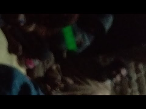 Kajibigha  me sombari program gramin ke dwara