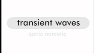 Transient Waves - Blackjack