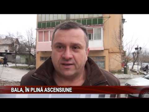 Bala, in plina ascensiune