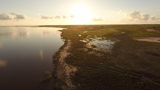 PBS Show April 10-16, 2016 I #2426