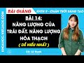 Khoa học tự nhiên 9 Bài 14: Năng lượng của Trái Đất. Năng lượng hoá thạch - Chân trời sáng tạo