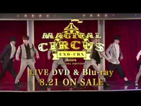 Magical circus EXO