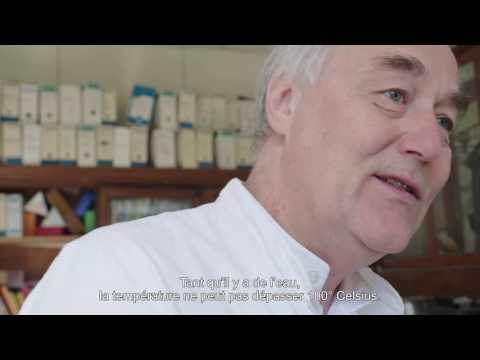 La Science du Goût l Episode 3 - Chaleur