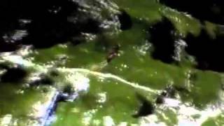 let's pretend it's summer