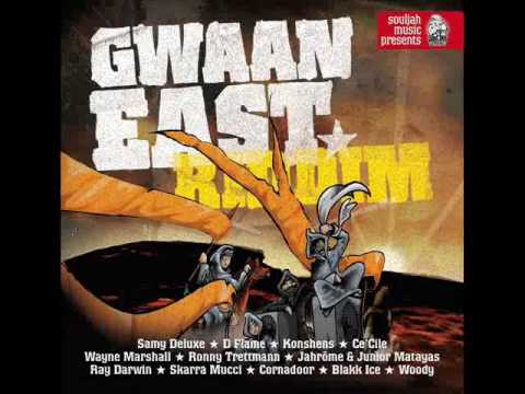 Samy Deluxe feat. D-Flame -Jung Abhänging / Schweine (mix)